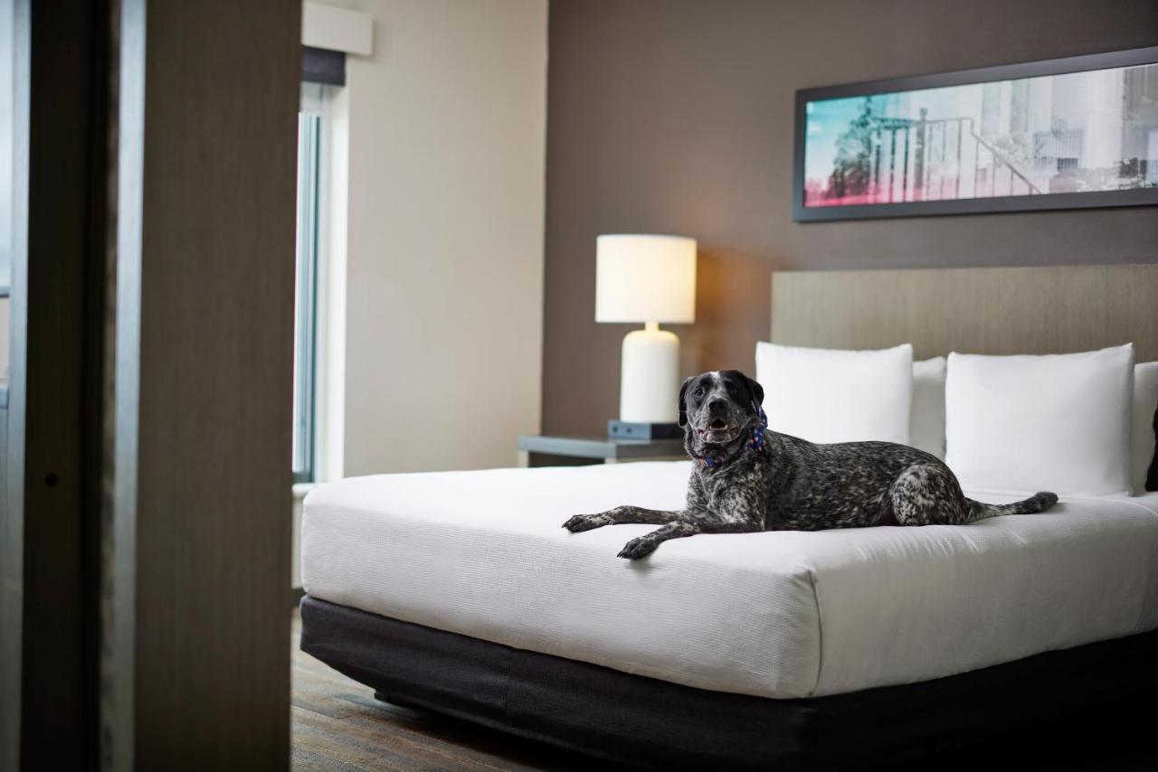 Hyatt House Denver/Downtown Ngoại thất bức ảnh