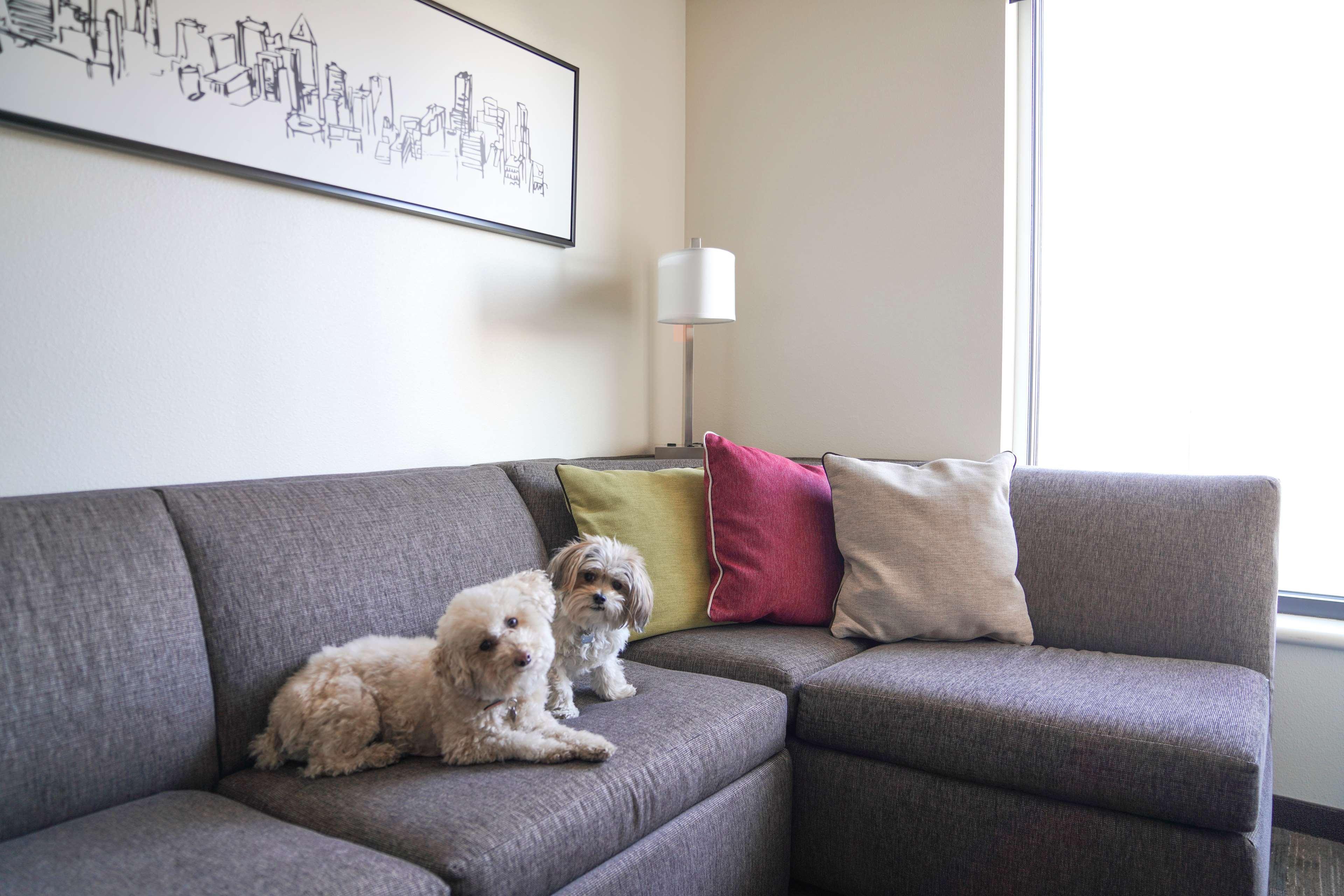 Hyatt House Denver/Downtown Ngoại thất bức ảnh